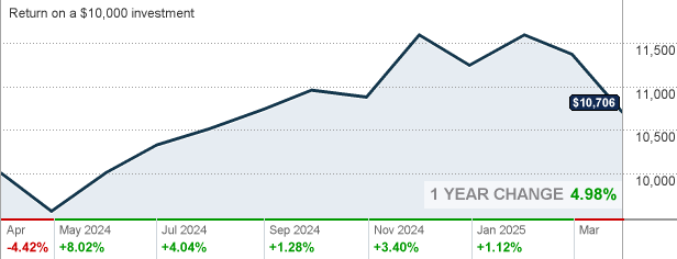 vanguard total stock market index fund morningstar