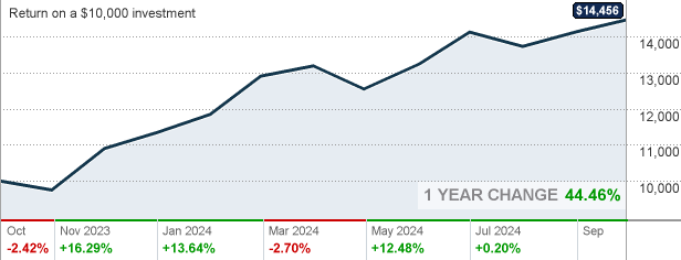 Large Cap Growth Index Fund Jpmorgan